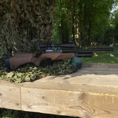 BSA R12 CLX Walnut .177 Package