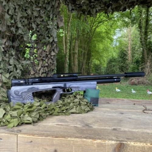 TAIPAN Veteran 2 Grey Laminate .22