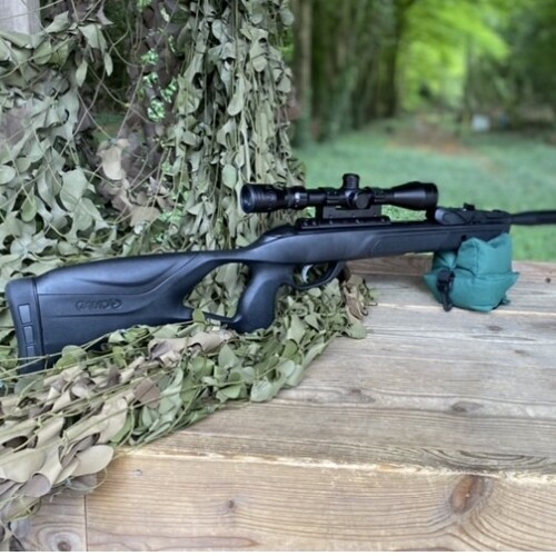 Gamo Roadster