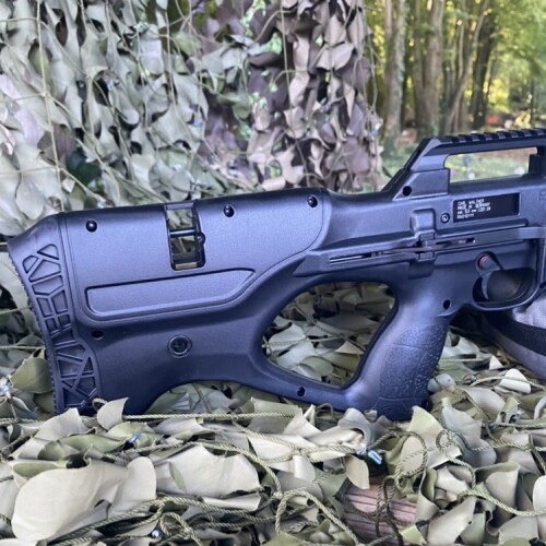 Walther Reign - Image 4