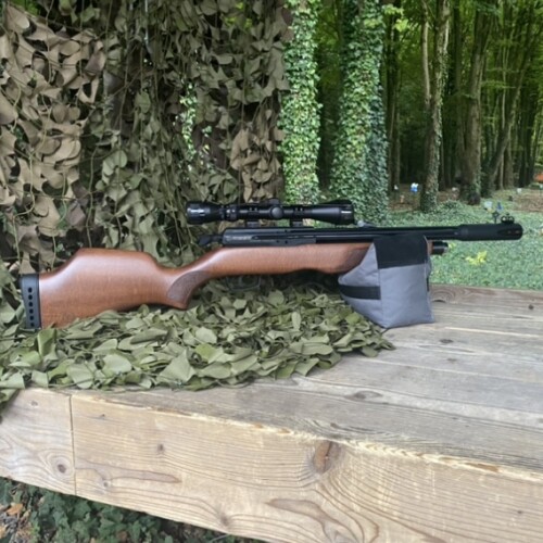 GAMO Riser .22