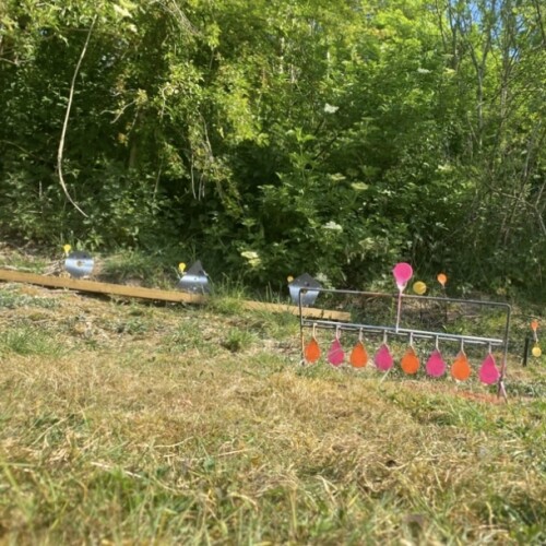 The Warren - Image 3