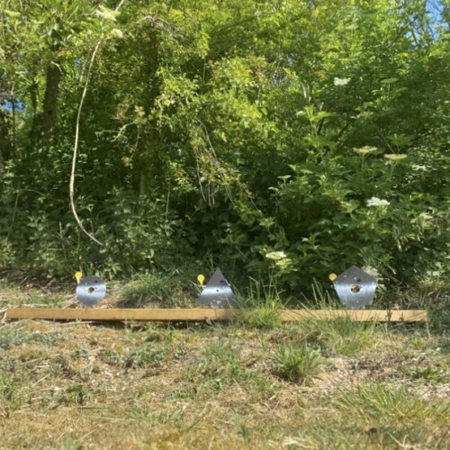 The Warren - Image 2