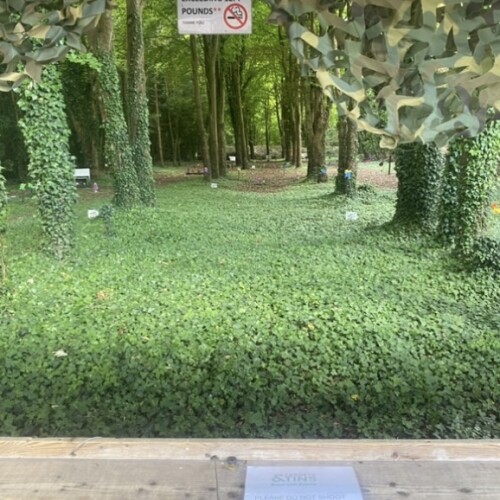 The Main Range - Image 4