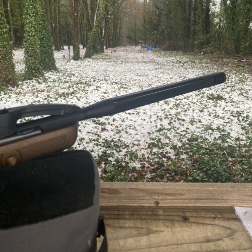 Gamo Varmint Swarm .22 - Image 2