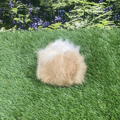 Rabbit Balls - Image 6