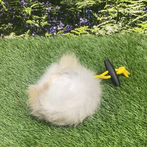 Rabbit Balls - Image 5